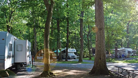Woodland Premium Back-In RV Site — image 2 of 2