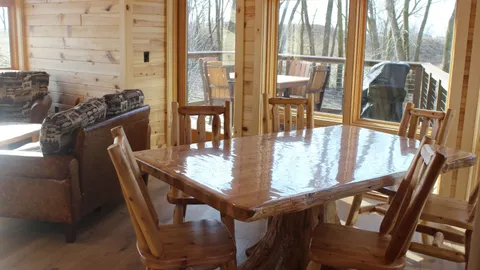 Bald Eagle Treehouse — image 2 of 10