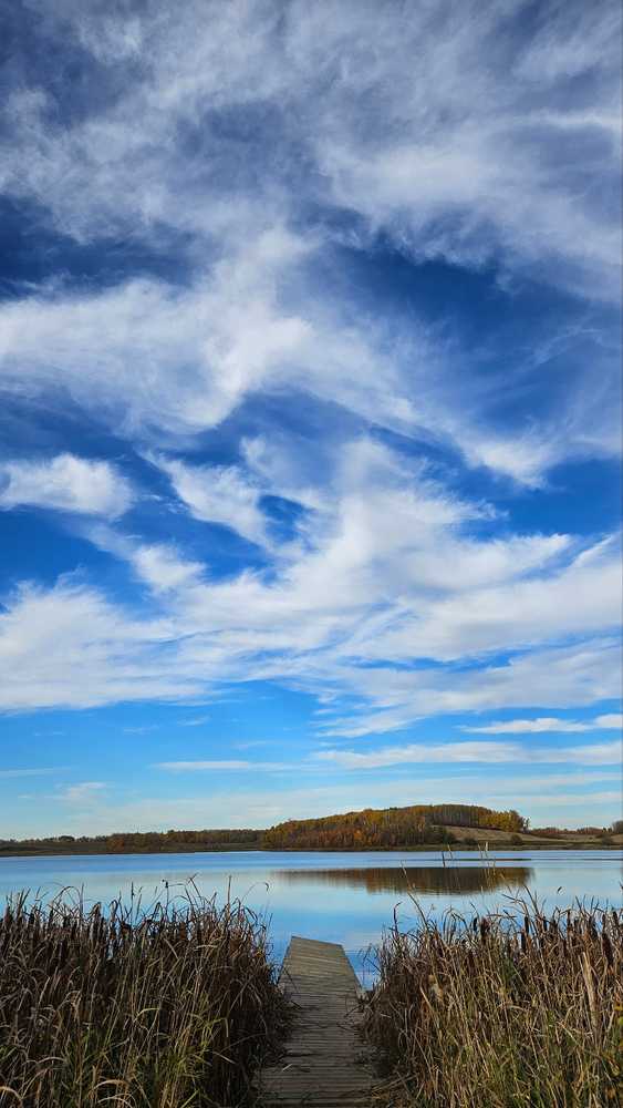 Park Image 6