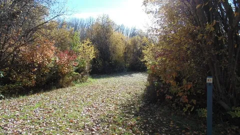 Group DELUXE NON POWER SITE - NON LAKESIDE — image 1 of 2
