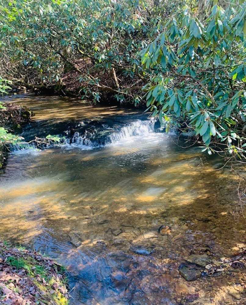 Heaven In The Hills Campground, Westfield, North Carolina - Photo 2