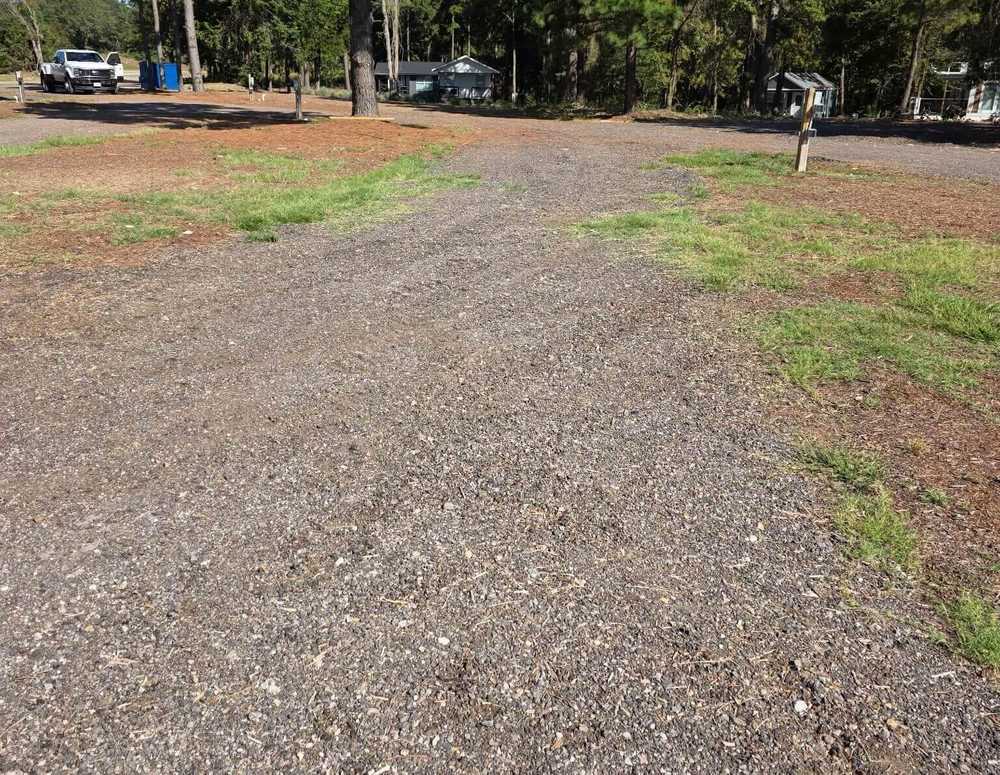The Pines, Tyler, Texas - Photo 2