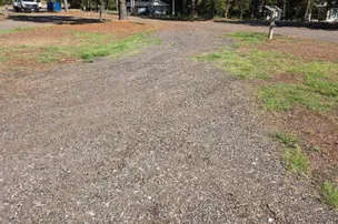 The Pines – photo 2