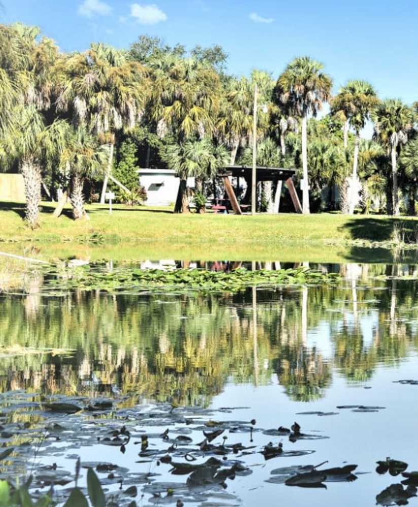 Julia Mobile Home RV Park (Age Restricted 55+) - Photo 4