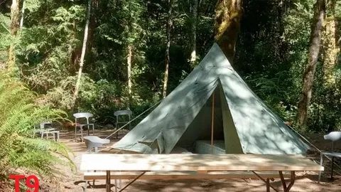 Creekside Drive-In Group Tent Sites — image 1 of 11