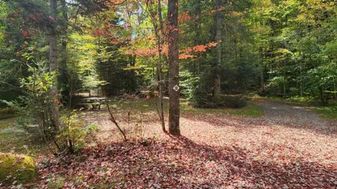 TENT (or small RV) Sites — image 7 of 7