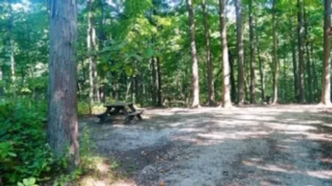 Walk-In Tent Site — image 2 of 4