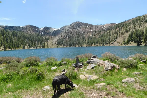 Coffee Creek Campground & R.V. Park – photo 1