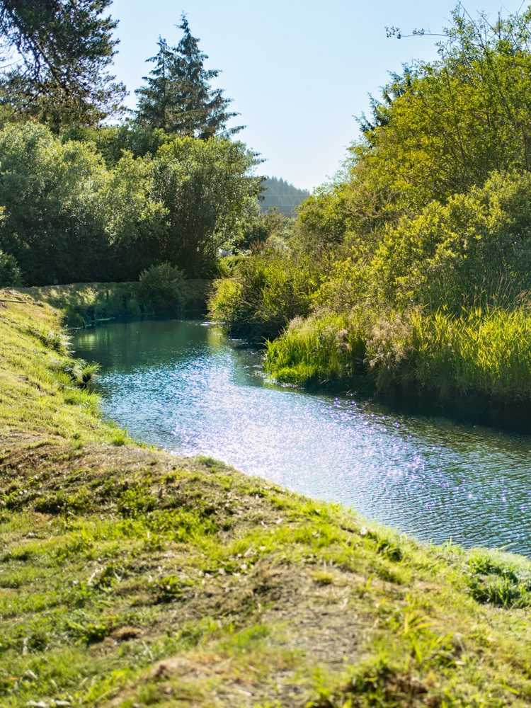 Park Image 7