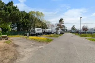Coastal Pines RV Resort – photo 3