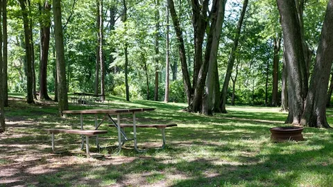 Rustic Tent Site — image 3 of 3