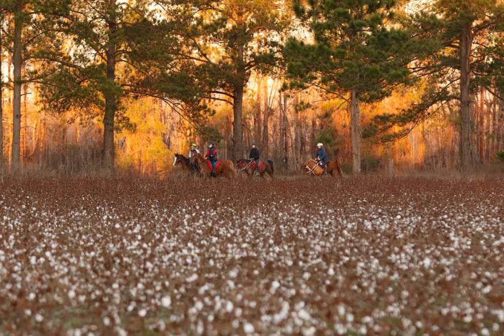 Broxton Bridge Campgrounds, Ehrhardt, South Carolina - Photo 2