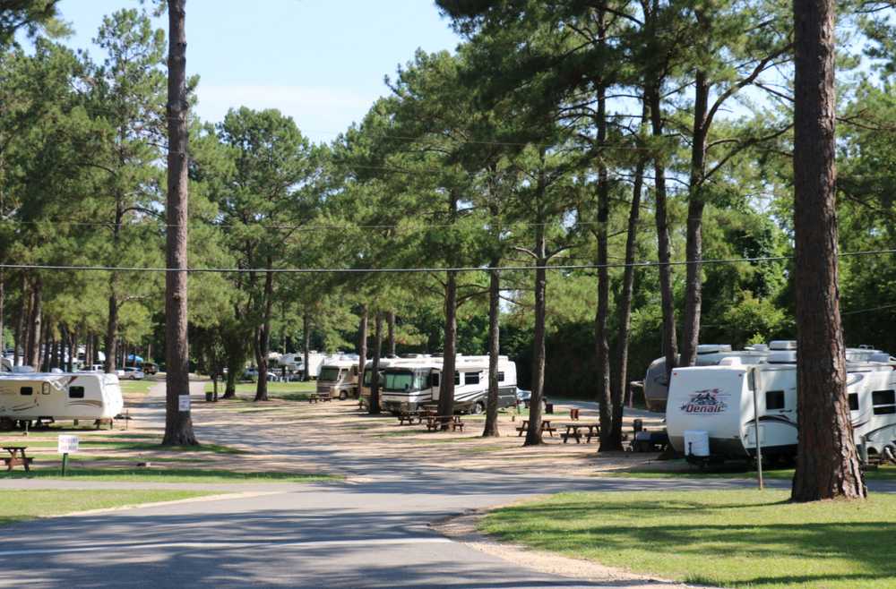 Tallahassee RV Park - Photo 5
