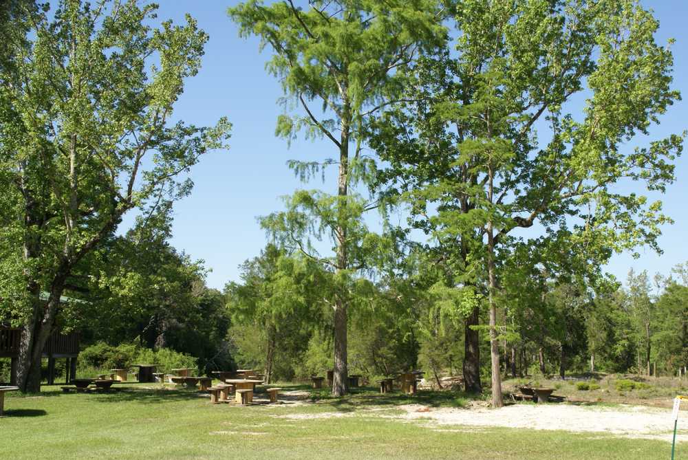 Sugar Sands Campground and Canoeing Outpost - Vancleave, Mississippi