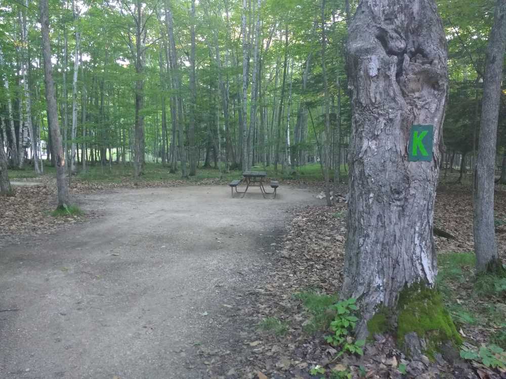Baileys Woods Campground, Baileys Harbor, Wisconsin - Photo 5