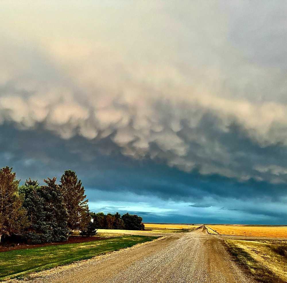 Town of Eston Campground, Eston, Saskatchewan - Photo 4