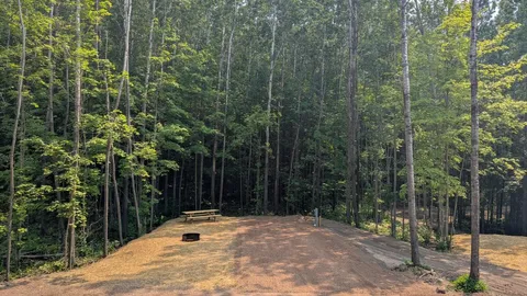 Campsite — image 4 of 4