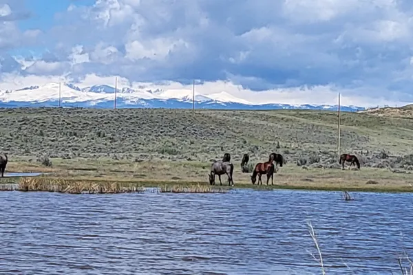 Big Horn View RV Campground – photo 1
