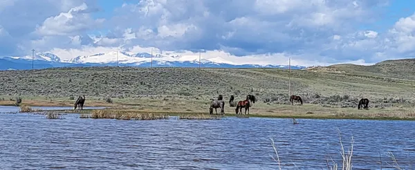 Big Horn View RV Campground, Buffalo, Wyoming campground