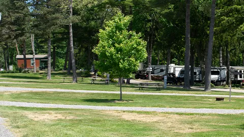 Premium Pull-Thru RV Site — image 2 of 3