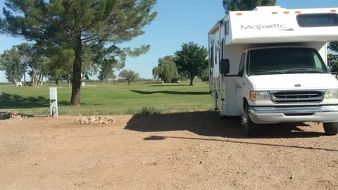 Deluxe RV/Pull Through — image 1 of 1
