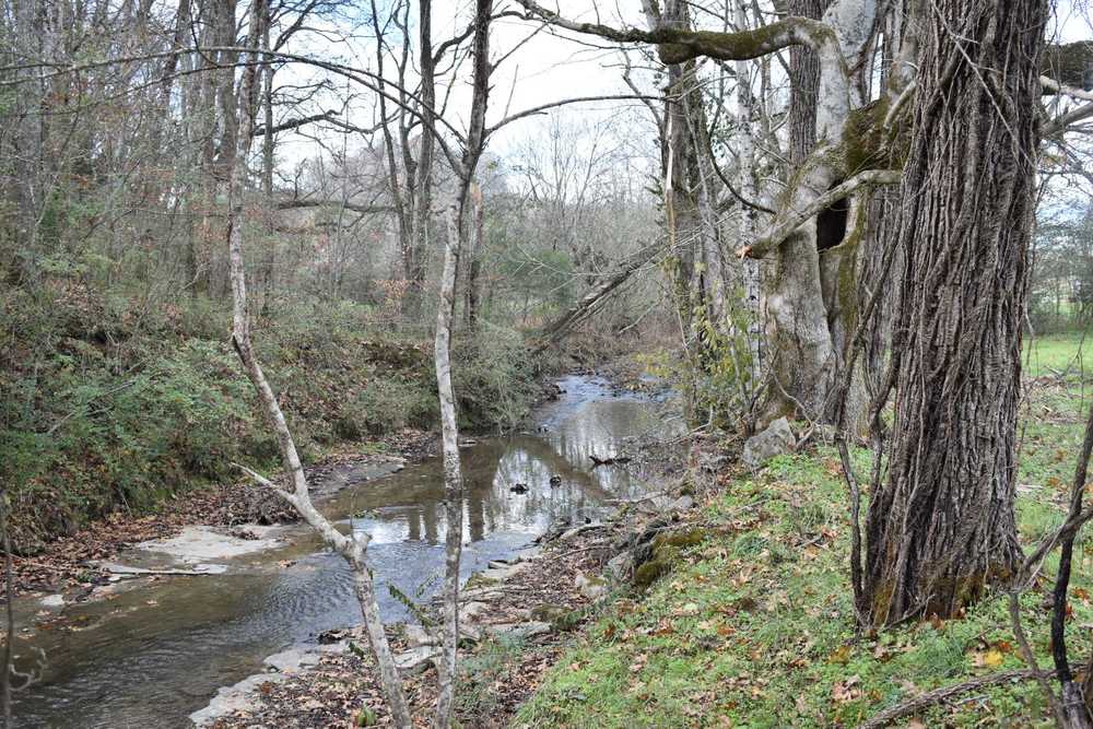 Park Image 6