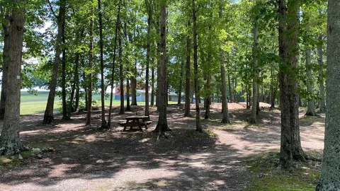 Standard Shared Water/Electric Site — image 21 of 21