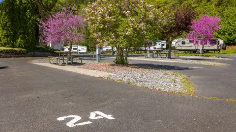 Premium Pull-Through RV Site — image 1 of 6