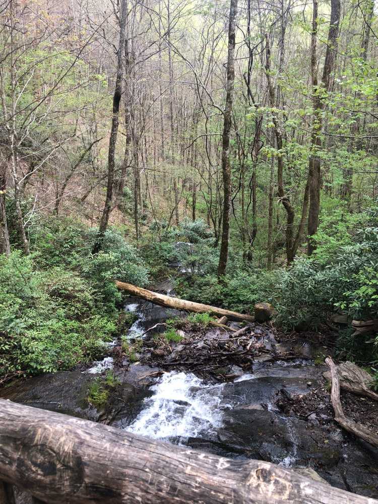 Smoky Mountain Campground - Photo 5