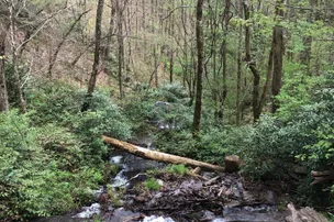 Smoky Mountain Campground – photo 5