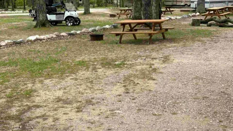 Electric Only Tent Site — image 2 of 2
