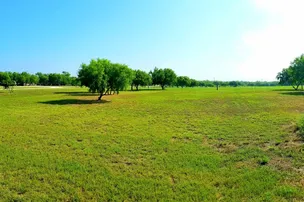 Big Mesquite RV Park – photo 3