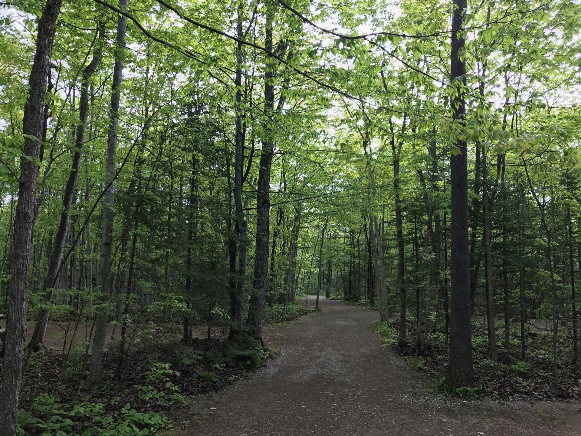 Harmony Acres