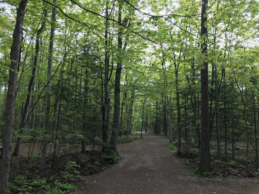 Harmony Acres - Main Photo