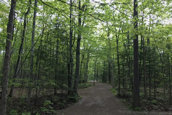 Harmony Acres – photo 1