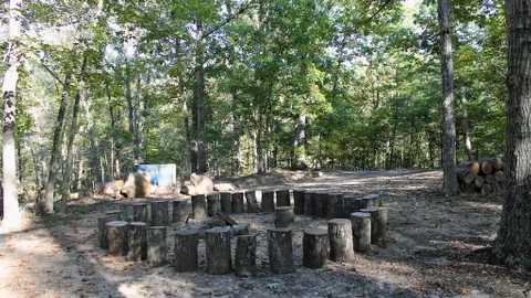 Scout Hill — image 6 of 6