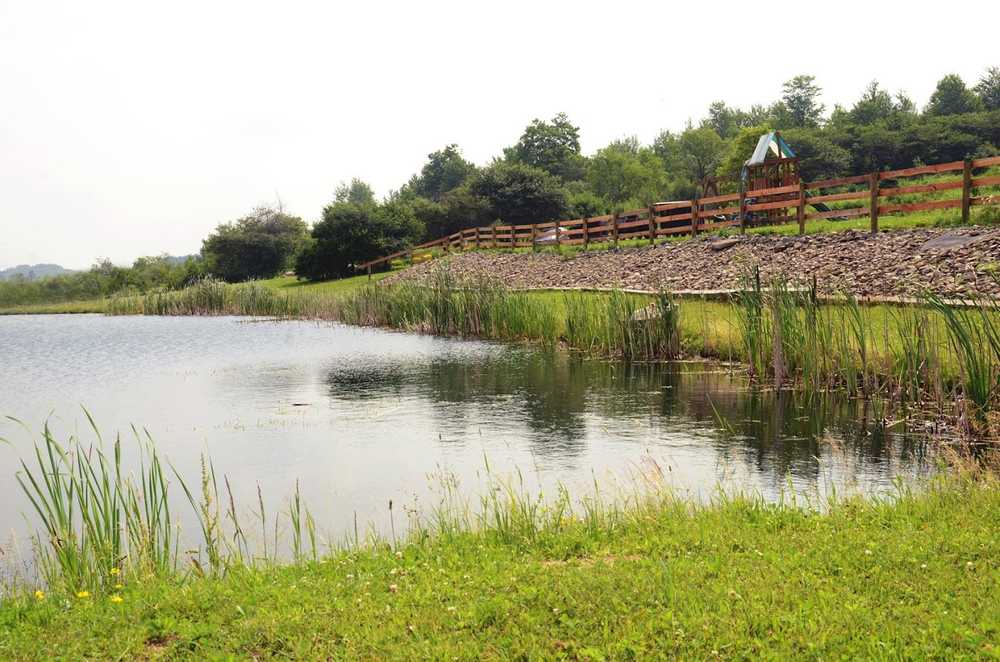 Harwood Haven, Franklinville, New York - Main Photo