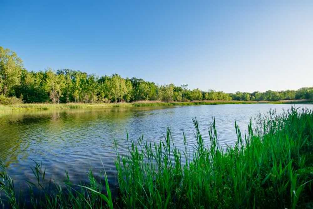 Karner Blue Campground, Montague, Michigan