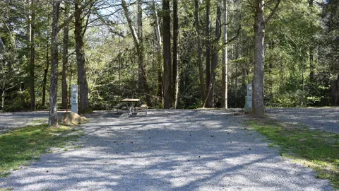 Standard On River Full Hookup RV Site — image 2 of 13