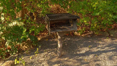 Frontier Log Cabin — image 2 of 18
