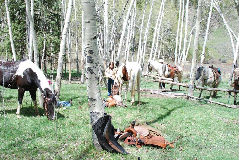 Harmel's Ranch Resort - Photo 4