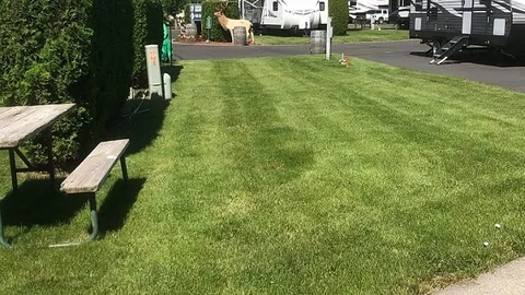 Pull-Thru Grass: 32ft MAX Length RV- # — image 4 of 4