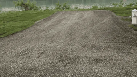 Riverbank RV Site — image 1 of 1