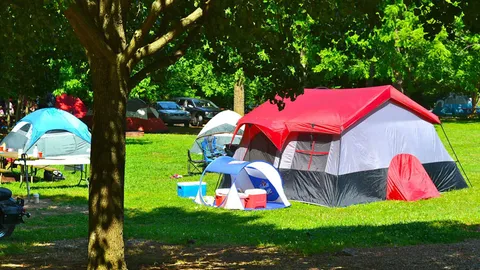 Primitive Group Camping Area — image 1 of 7
