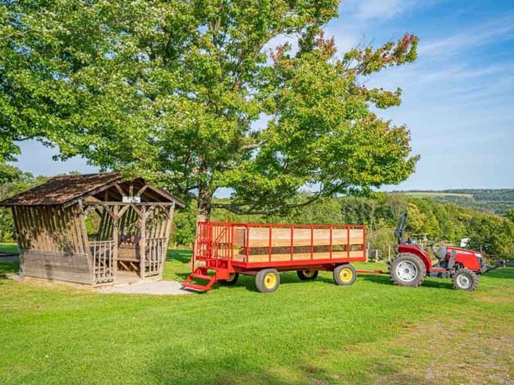 Sun Retreats Pleasant Acres Farm - Photo 5