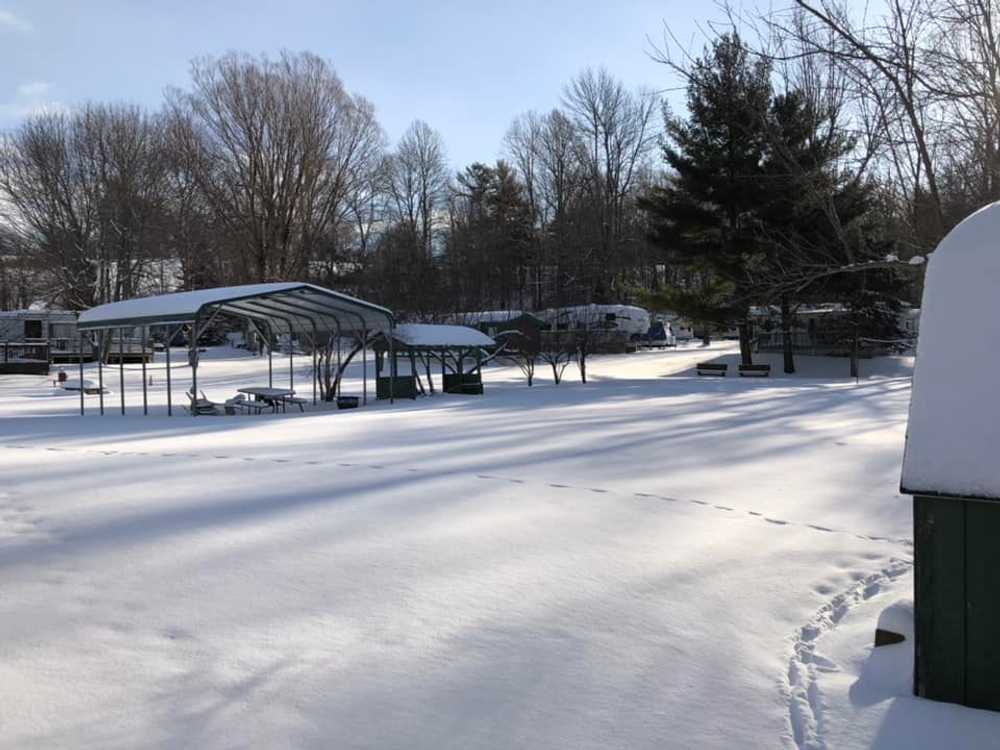 Port Bay Campground, Wolcott, NY - Photo 5