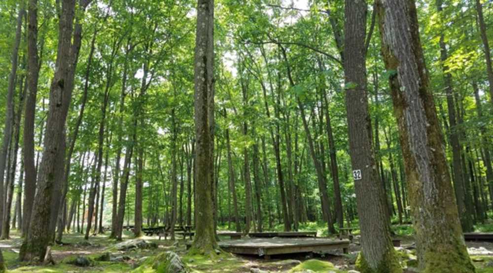 Big Bear Lake Camplands, Bruceton Mills, West Virginia - Photo 3