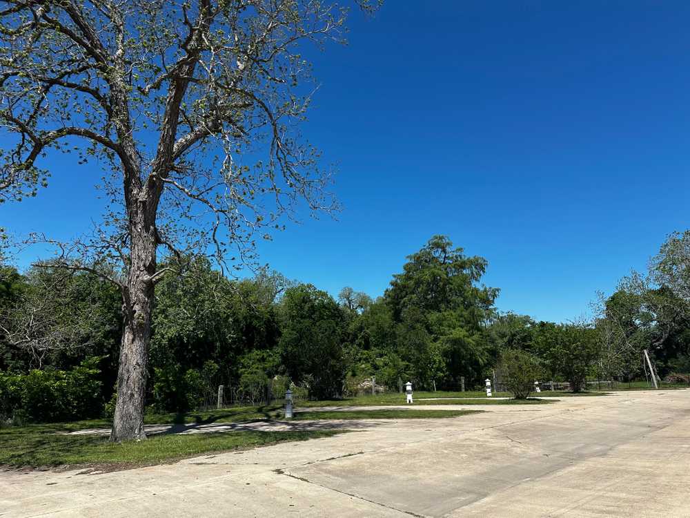 Park Image 8