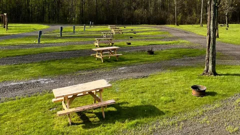 Pull-Through RV Site — image 3 of 3