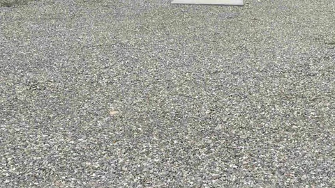 Back-In Full Hookup RV Site — image 2 of 9